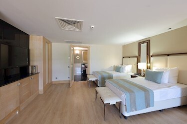 Platinum Duplex Executive Suite - No Pool
